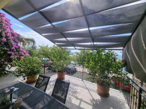 Apartman Ruža